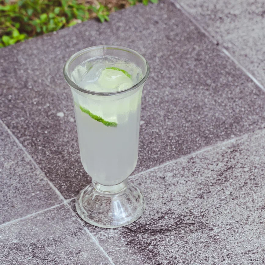 Gin and Tonic cocktail step-by-step recipe