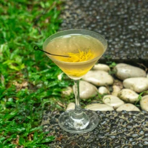 Dry Martini (4:1 ratio) | Perfect Gin Cocktail Recipe