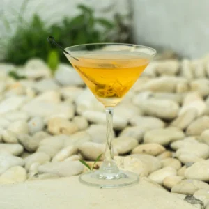 How to Make a Dry Martini | Perfect 10:1 Gin Cocktail Recipe