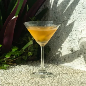 Bradford Martini Cocktail Recipe | Shaken Dry Gin Classic