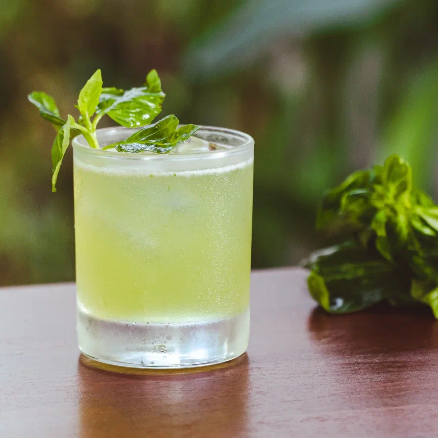 How to make a Gin Basil Smash cocktail