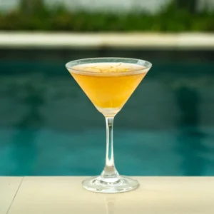 Hoffman House | Classic Gin Martini Recipe