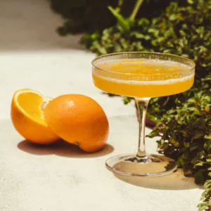 Bees Knees: Bright & Cozy Gin Cocktail | Refreshing Citrus Delight