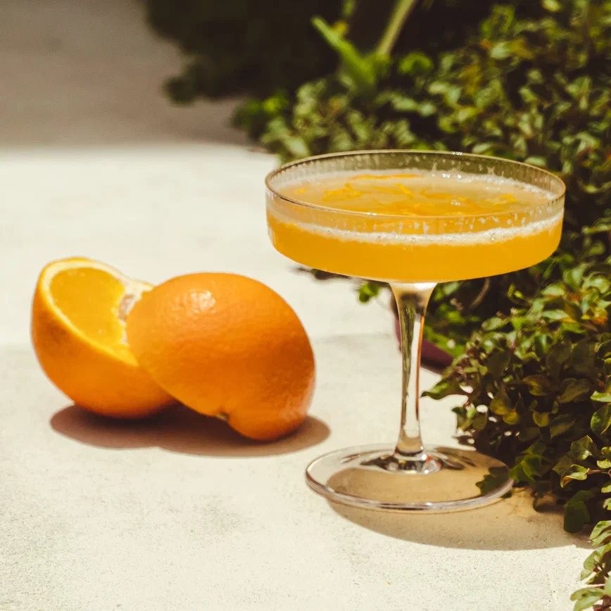 Bees Knees: Bright & Cozy Gin Cocktail | Refreshing Citrus Delight