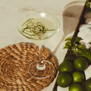 STOP Overcomplicating Your Gin Recipes and Try This Simple Gimlet Cocktail Recipe