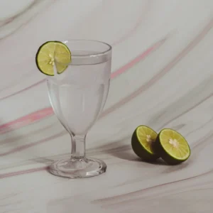DIY Gin Sonic Highball: A Refreshing Twist!