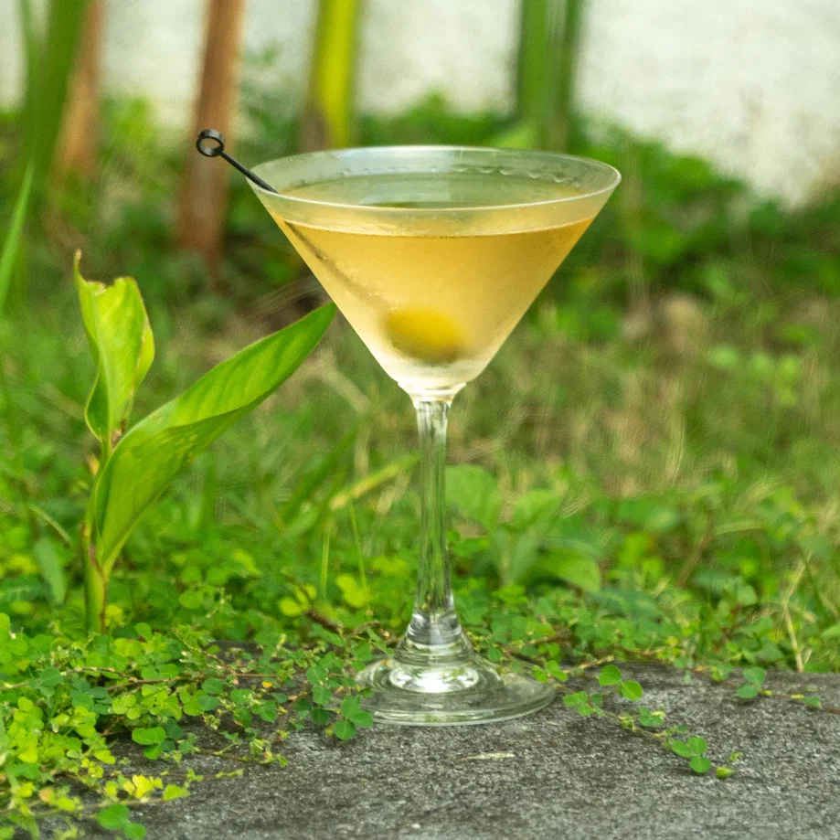 Dry Martini (15:5 Dumped) – Franklin Style